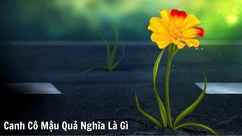 Canh Cô Mậu Quả Nghĩa Là Gì