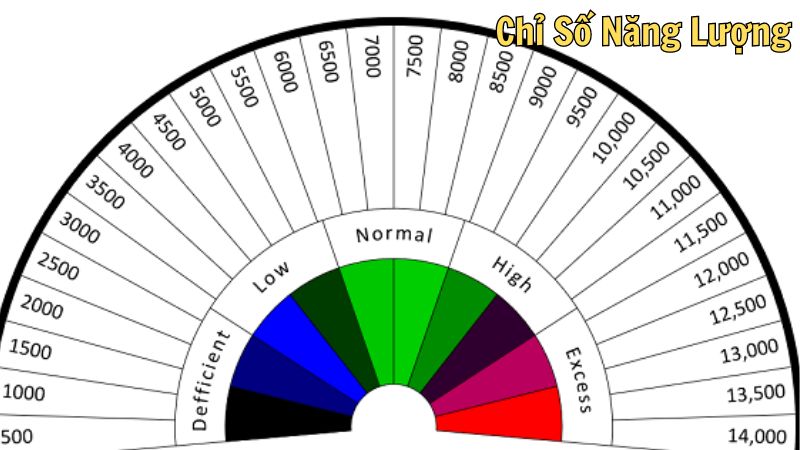 Chỉ Số Năng Lượng