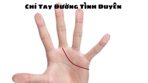 Chỉ Tay Đường Tình Duyên