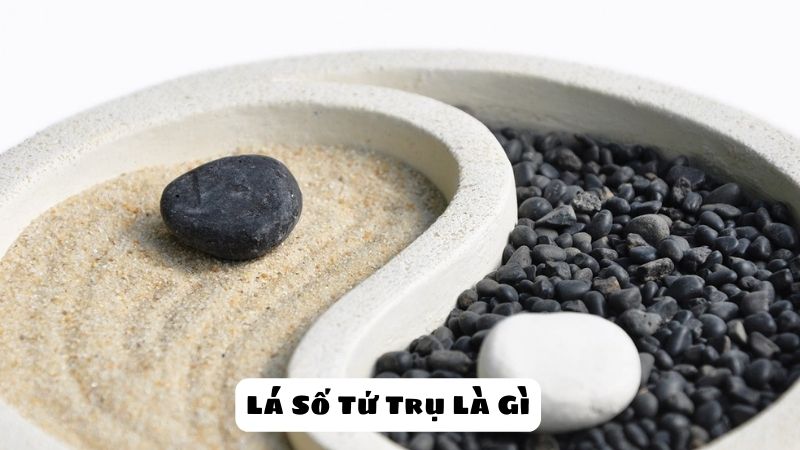 Lá Số Tứ Trụ Là Gì