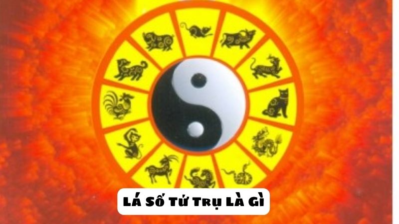 Lá Số Tứ Trụ Là Gì